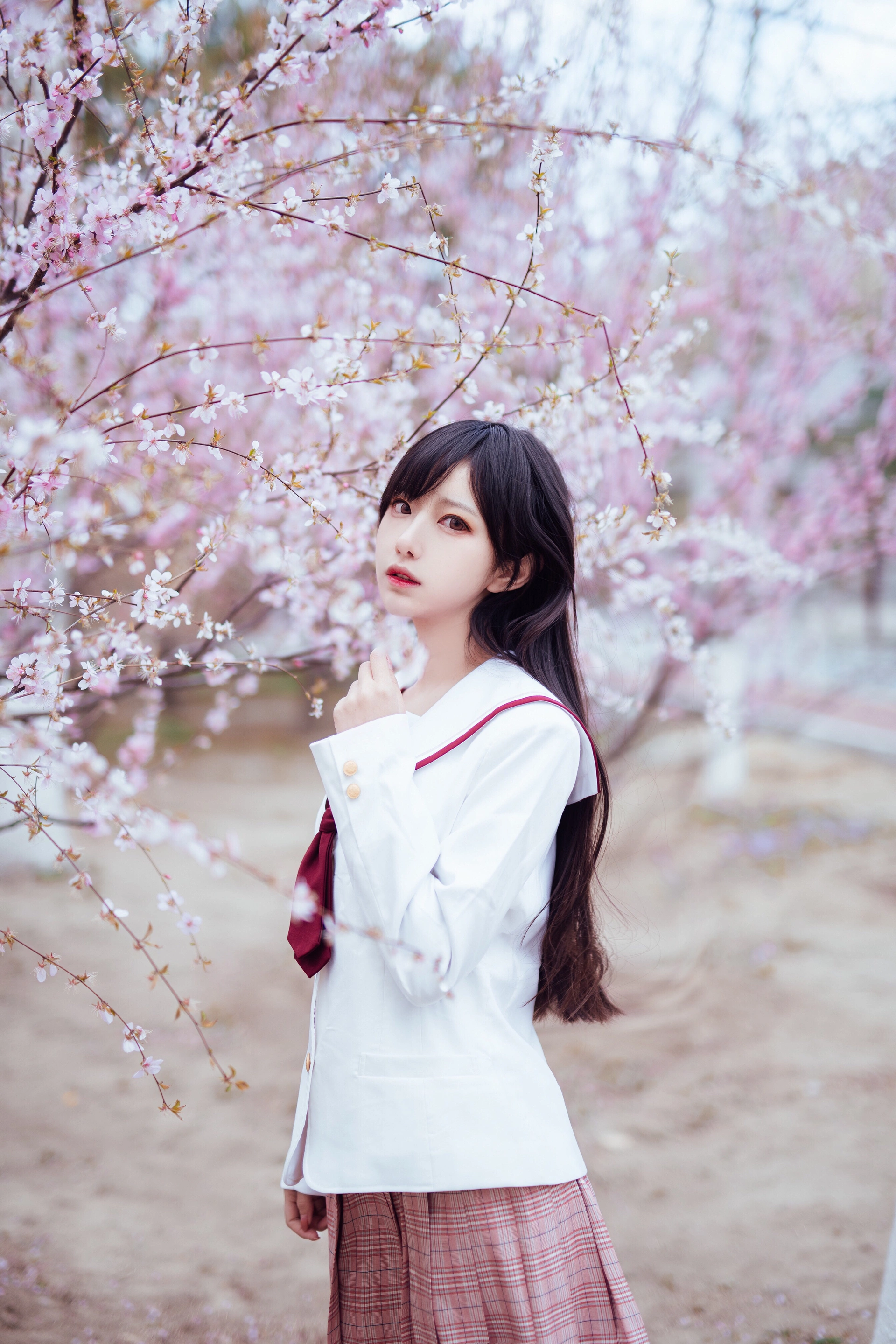 Shika小鹿鹿 - NO.47 樱花 1